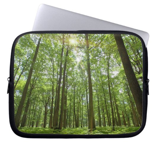 Wald mit Sun hinten Laptopschutzhülle (Vorderseite)