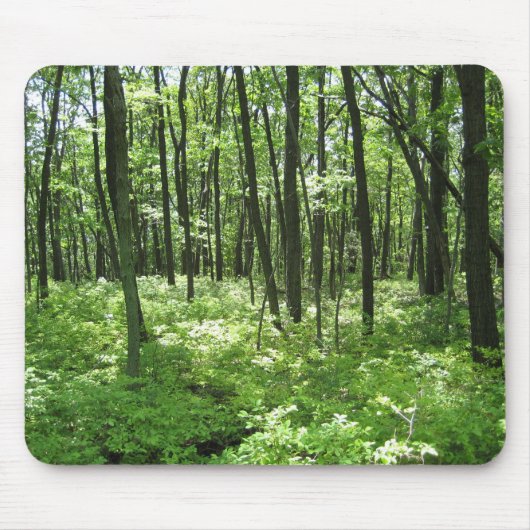 Wald Mousepad (Vorne)