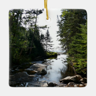 Wald nahe Hunters Beach im Acadia National Park Keramikornament