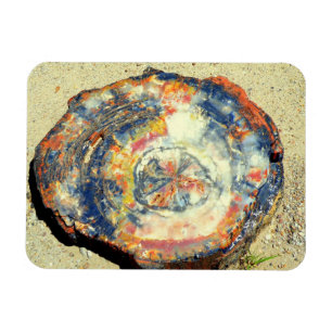 Wald-Nationalpark Magnet