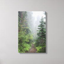 Wald Natur