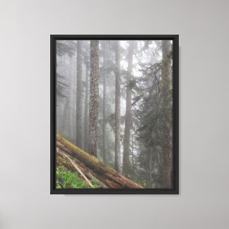 Wald Natur Leinwanddruck