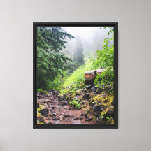 Wald Natur