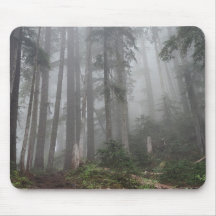 Wald Natur