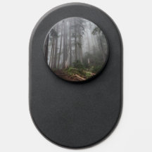 Wald Natur