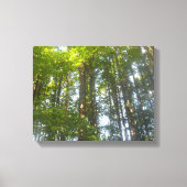 Wald-Naturfoto Leinwanddruck (Vorderseite)