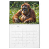 Wald-Orangutan-Kalender Kalender (Jan 2027)