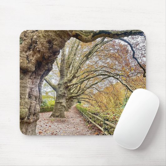 Wald Pathway Mouse Mat Mousepad (Mit Mouse)