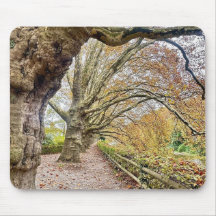 Wald Pathway Mouse Mat