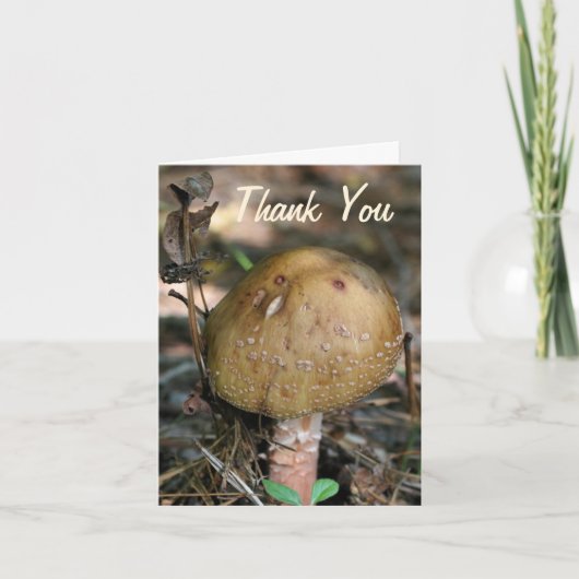 Wald Pilz Natur Danke Karte (Vorderseite)