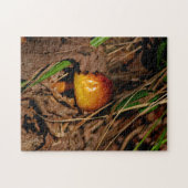 Wald-Pilz Puzzle (Horizontal)