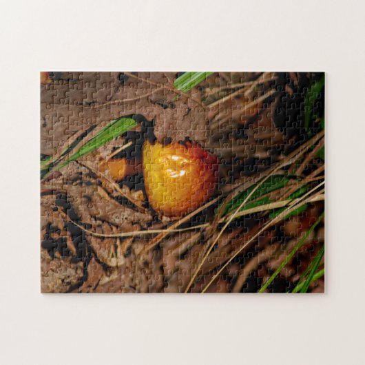 Wald-Pilz Puzzle (Horizontal)