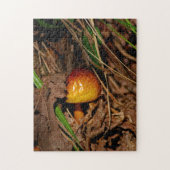 Wald-Pilz Puzzle (Vertikal)