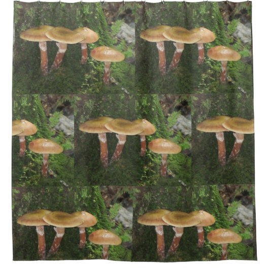 Wald-Pilze Duschvorhang (Vorderseite)