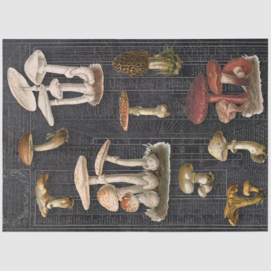 Wald Pilze Hütte Black Ephemera Decoupage Seidenpapier (Vorderseite)