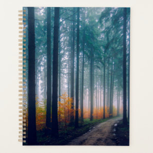 Wald Planer
