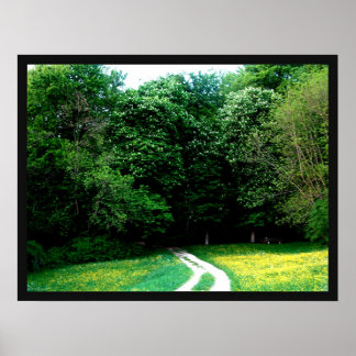 Wald Poster