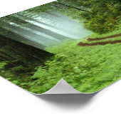 Wald Poster (Ecke)