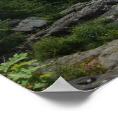 Wald Poster (Ecke)