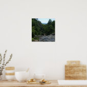Wald Poster (Küche)