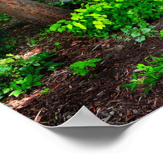 Wald Poster (Ecke)