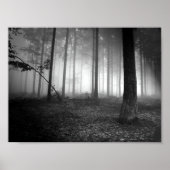Wald Poster (Vorne)