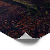 Wald Poster (Ecke)