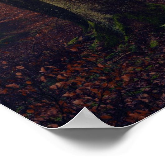 Wald Poster (Ecke)