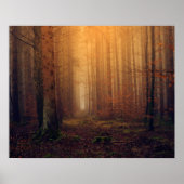 Wald Poster (Vorne)