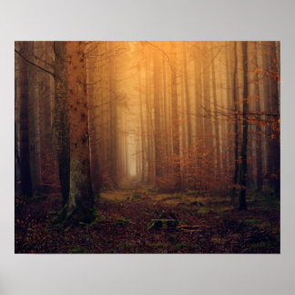 Wald Poster