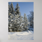 Wald Poster (Vorne)