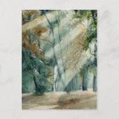 wald postkarte (Vorderseite)