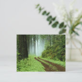 Wald Postkarte (Stehend Vorderseite)