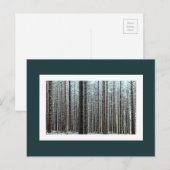 Wald Postkarte (Vorne/Hinten)