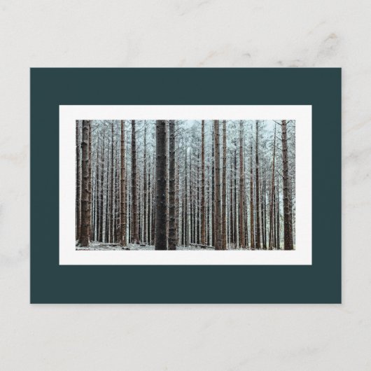 Wald Postkarte (Vorderseite)