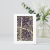 Wald Postkarte (Stehend Vorderseite)