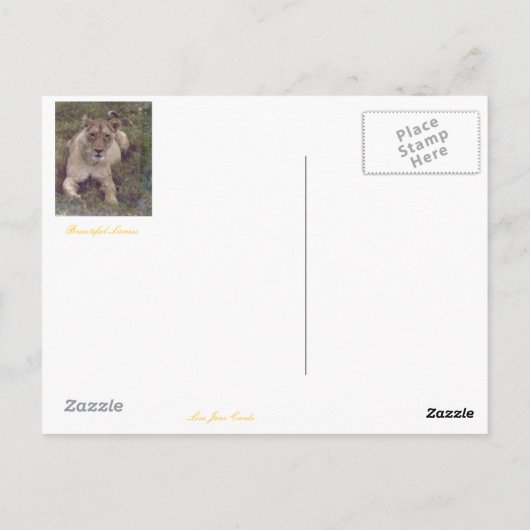 Wald Postkarte (Rückseite)