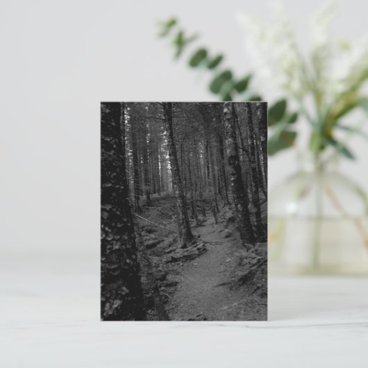 Wald Postkarte (Stehend Vorderseite)