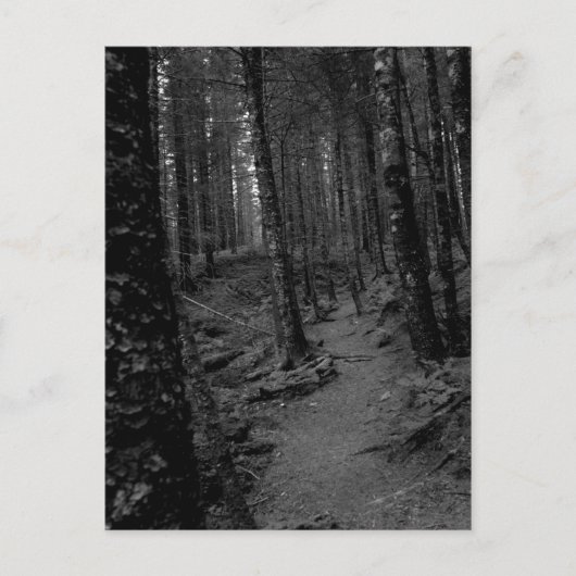 Wald Postkarte (Vorderseite)