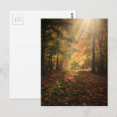 Wald Postkarte (Vorne/Hinten)