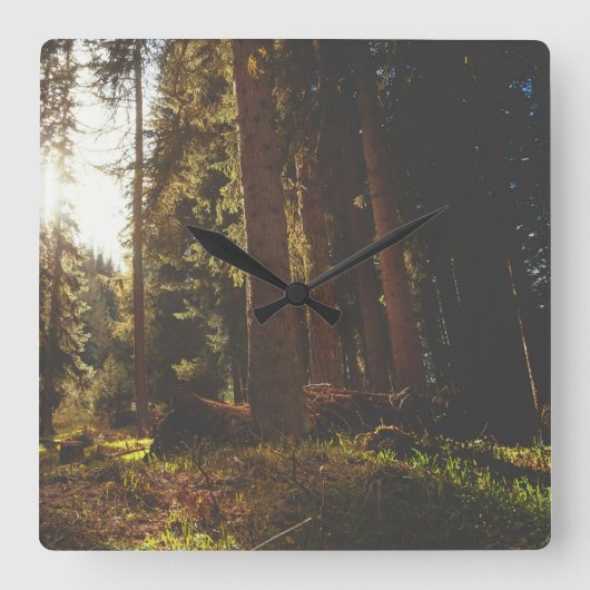 Wald Quadratische Wanduhr (Vorderseite)