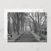 Wald, schwarz/weiß postkarte (Vorne/Hinten)