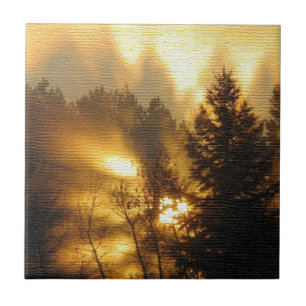 Wald Sonnenaufgang Fliese