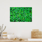 Wald Sorrel im Frühling Poster (Küche)