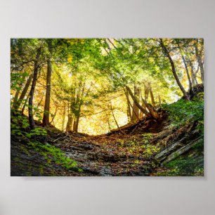 Wald Sunset Nature Poster