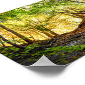 Wald Sunset Nature Poster (Ecke)