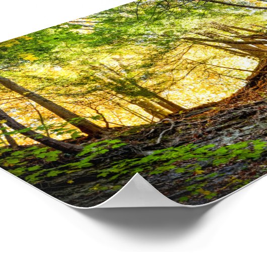 Wald Sunset Nature Poster (Ecke)