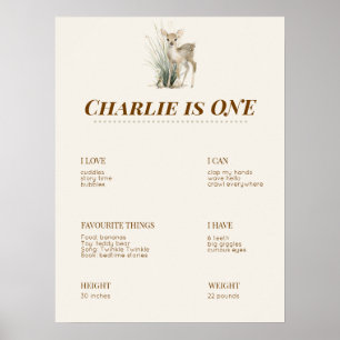 Wald-Themen-Erste-Geburtstags-Meilenstein-Tafel Poster