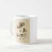 Wald Thrush von Audubons Vögeln Amerikas Kaffeetasse (Vorderseite Links)