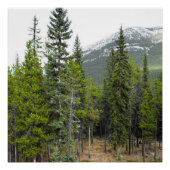 Wald- und Bergwelt Poster (Vorderseite)